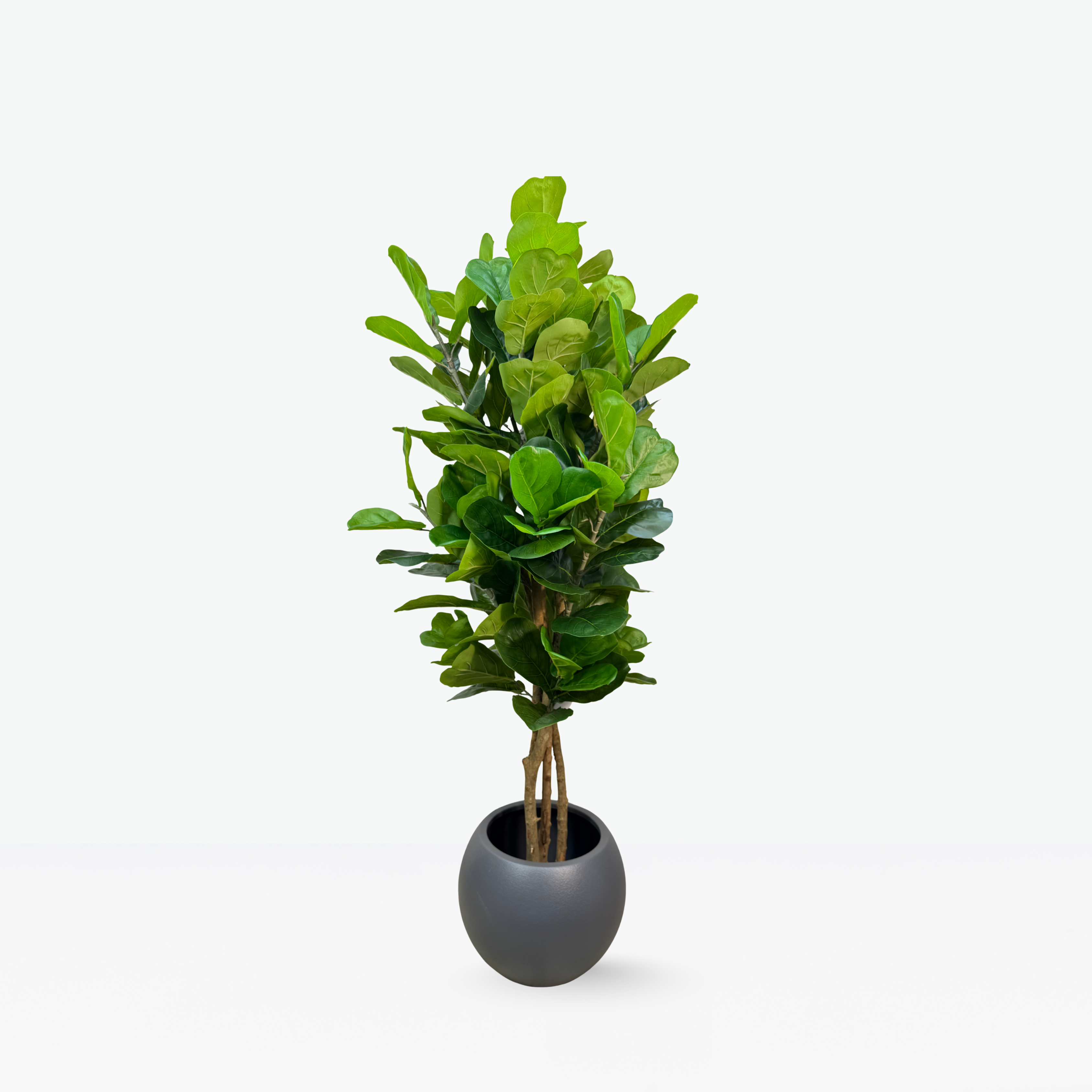 Artificial fiddle leaf tree